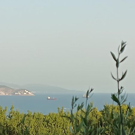 Zagradge I.N. Apartments Sutomore Luaran gambar